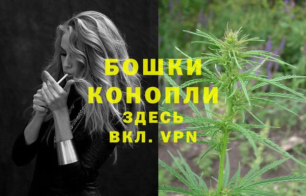 PSILOCYBIN Волоколамск