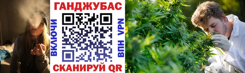 МАРИХУАНА план  купить  цена  Чекалин 